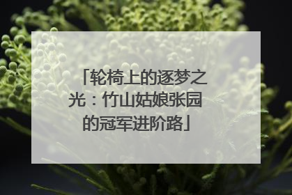 轮椅上的逐梦之光：竹山姑娘张园的冠军进阶路