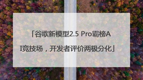 谷歌新模型2.5 Pro霸榜AI竞技场，开发者评价两极分化