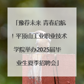 豫荐未来 青春启航！平顶山工业职业技术学院举办2025届毕业生夏季招聘会