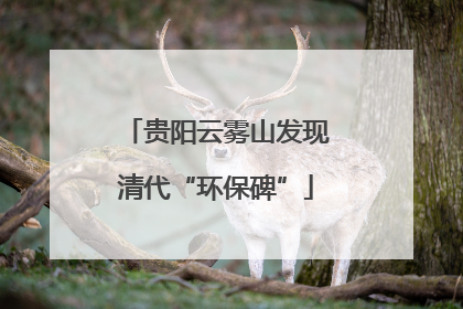 贵阳云雾山发现清代“环保碑”