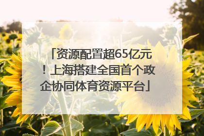 资源配置超65亿元！上海搭建全国首个政企协同体育资源平台