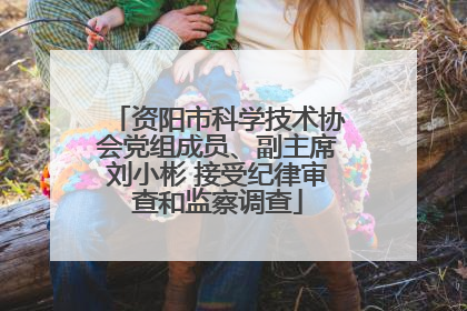 资阳市科学技术协会党组成员、副主席刘小彬 接受纪律审查和监察调查