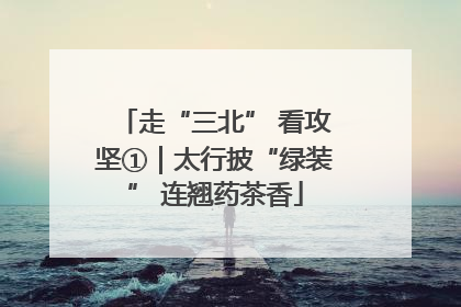 走“三北” 看攻坚①｜太行披“绿装” 连翘药茶香