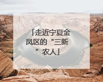 走近宁夏金凤区的“三新”农人