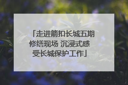走进箭扣长城五期修缮现场 沉浸式感受长城保护工作