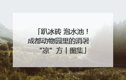 趴冰砖 泡水池！成都动物园里的消暑“凉”方丨图集