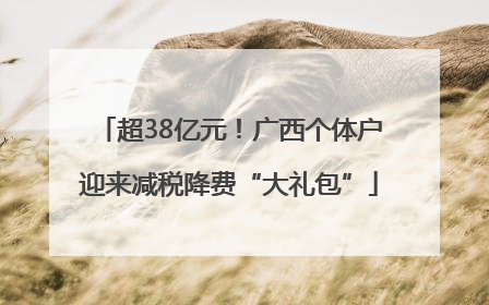 超38亿元！广西个体户迎来减税降费“大礼包”