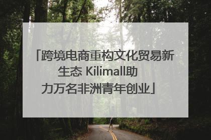 跨境电商重构文化贸易新生态 Kilimall助力万名非洲青年创业