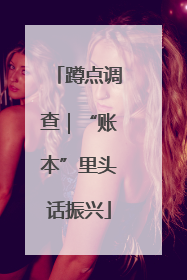 蹲点调查｜“账本”里头话振兴