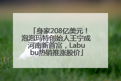 身家208亿美元！泡泡玛特创始人王宁成河南新首富，Labubu热销推涨股价