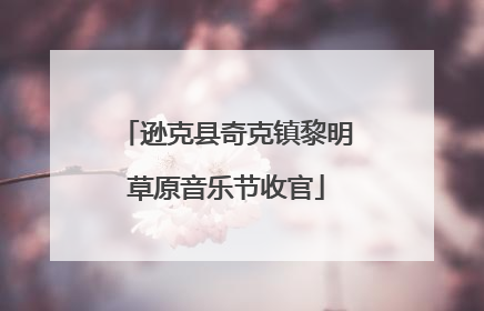 逊克县奇克镇黎明草原音乐节收官