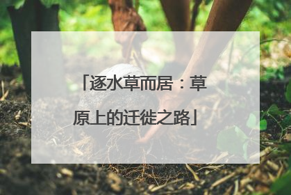 逐水草而居：草原上的迁徙之路