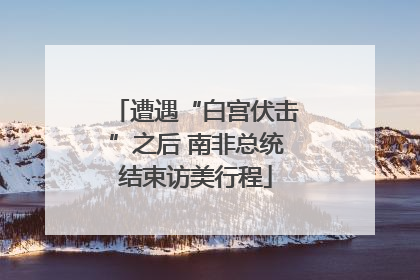 遭遇“白宫伏击”之后 南非总统结束访美行程
