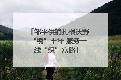 邹平供销扎根沃野“绣”丰年 服务一线“织”富路