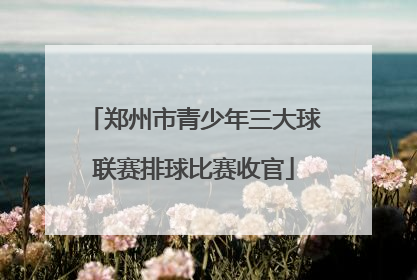 郑州市青少年三大球联赛排球比赛收官