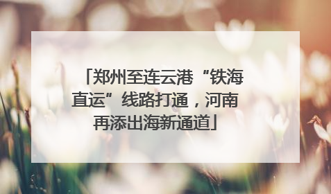 郑州至连云港“铁海直运”线路打通，河南再添出海新通道