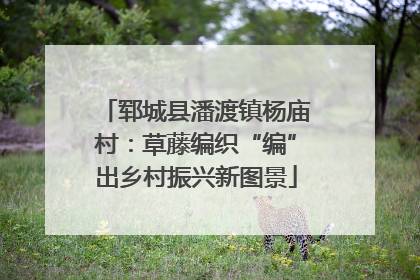郓城县潘渡镇杨庙村：草藤编织“编”出乡村振兴新图景