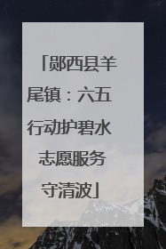 郧西县羊尾镇：六五行动护碧水 志愿服务守清波