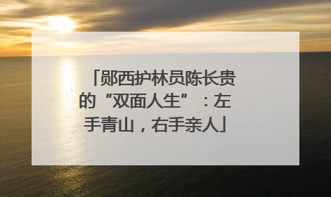 郧西护林员陈长贵的“双面人生”：左手青山，右手亲人