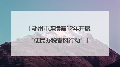 鄂州市连续第12年开展“便民办税春风行动”