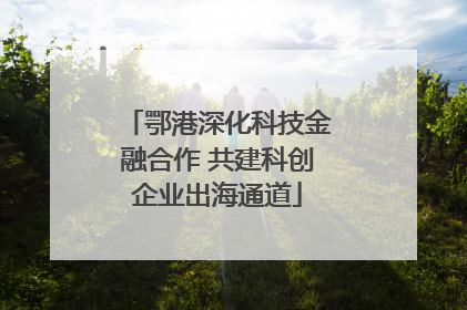 鄂港深化科技金融合作 共建科创企业出海通道