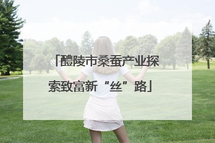 醴陵市桑蚕产业探索致富新“丝”路