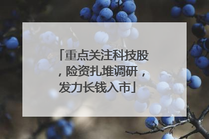 重点关注科技股，险资扎堆调研，发力长钱入市