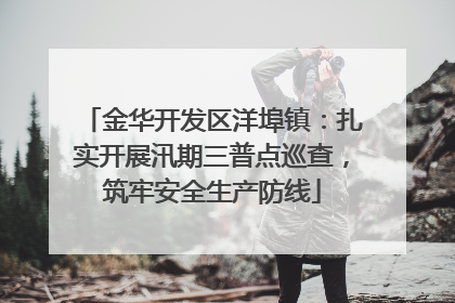 金华开发区洋埠镇：扎实开展汛期三普点巡查，筑牢安全生产防线