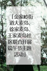 金家岭街道大麦岛、徐家麦岛、王家麦岛社区联合开展端午节主题活动