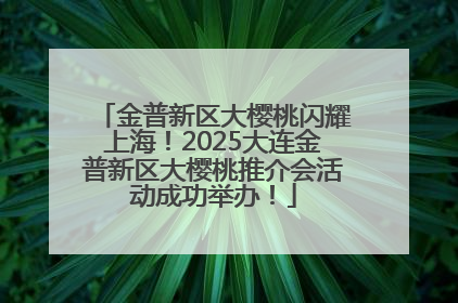 金普新区大樱桃闪耀上海！2025大连金普新区大樱桃推介会活动成功举办！