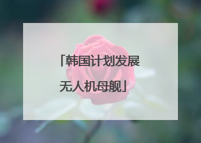韩国计划发展无人机母舰