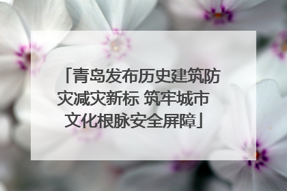 青岛发布历史建筑防灾减灾新标 筑牢城市文化根脉安全屏障