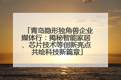 青岛隐形独角兽企业媒体行：揭秘智能家居、芯片技术等创新亮点 共绘科技新篇章