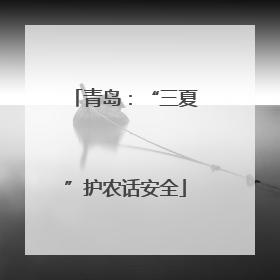 青岛：“三夏”护农话安全
