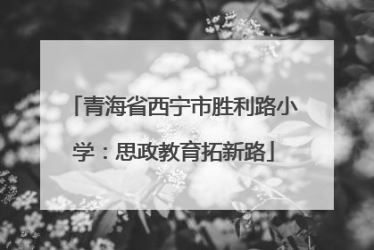 青海省西宁市胜利路小学：思政教育拓新路