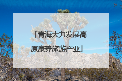 青海大力发展高原康养旅游产业