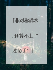非对称战术，还算不上“胜负手”