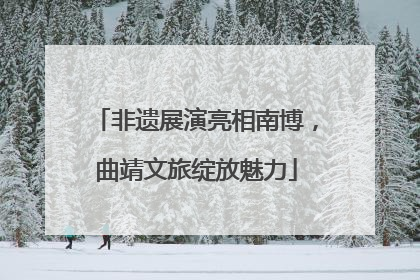 非遗展演亮相南博，曲靖文旅绽放魅力