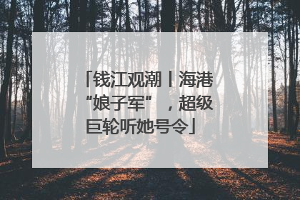 钱江观潮丨海港“娘子军”，超级巨轮听她号令
