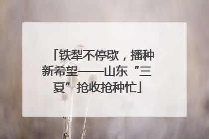 铁犁不停歇，播种新希望——山东“三夏”抢收抢种忙
