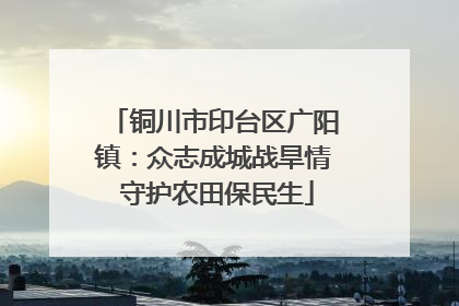铜川市印台区广阳镇：众志成城战旱情 守护农田保民生