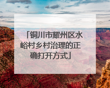 铜川市耀州区水峪村乡村治理的正确打开方式