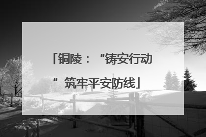 铜陵：“铸安行动”筑牢平安防线