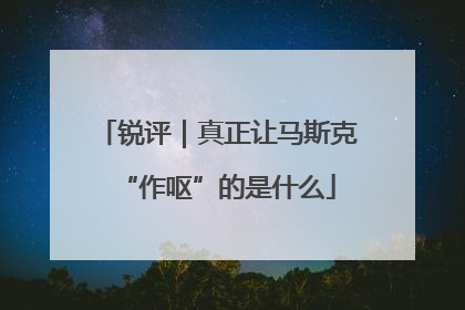 锐评｜真正让马斯克“作呕”的是什么