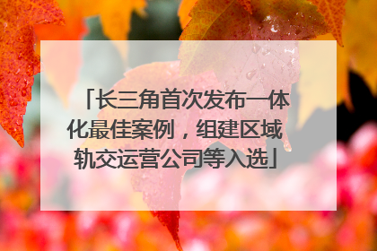 长三角首次发布一体化最佳案例，组建区域轨交运营公司等入选