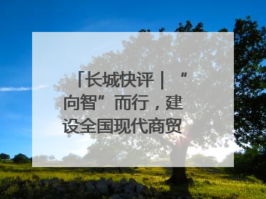 长城快评｜“向智”而行，建设全国现代商贸物流重要基地