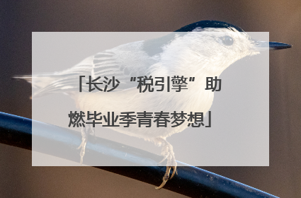 长沙“税引擎”助燃毕业季青春梦想