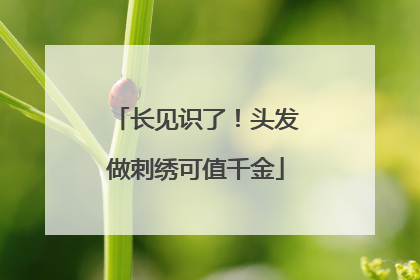 长见识了！头发做刺绣可值千金