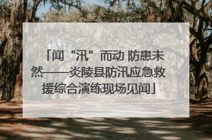 闻“汛”而动 防患未然——炎陵县防汛应急救援综合演练现场见闻