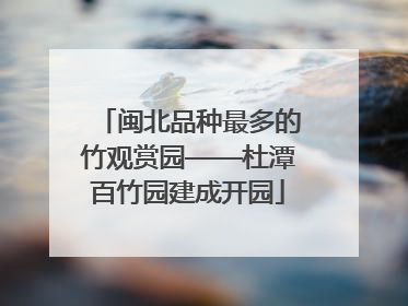 闽北品种最多的竹观赏园——杜潭百竹园建成开园